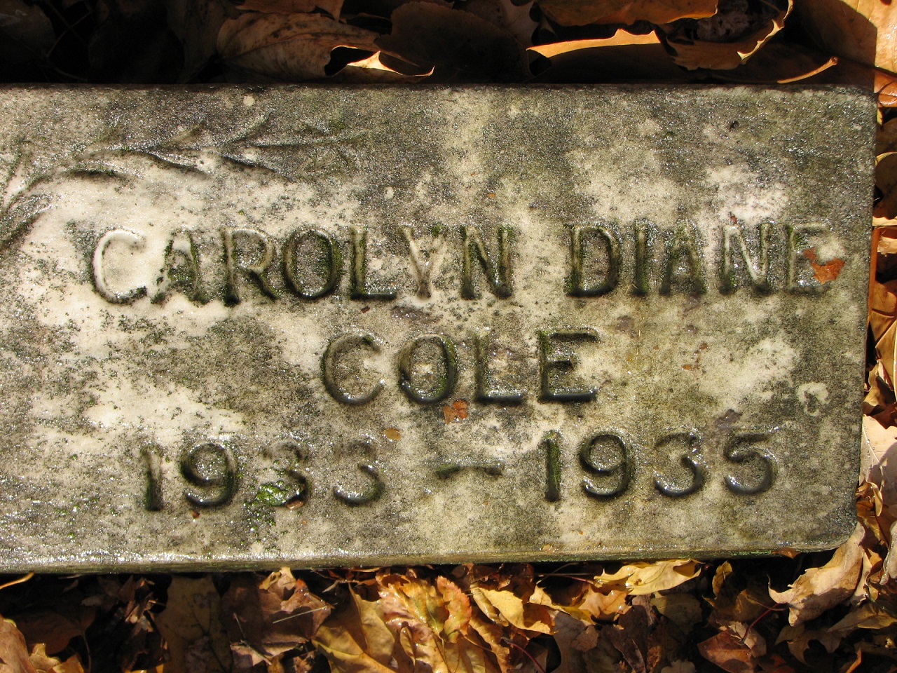 Carolyn Diane COLE 1933-1935 Sect D Row 2