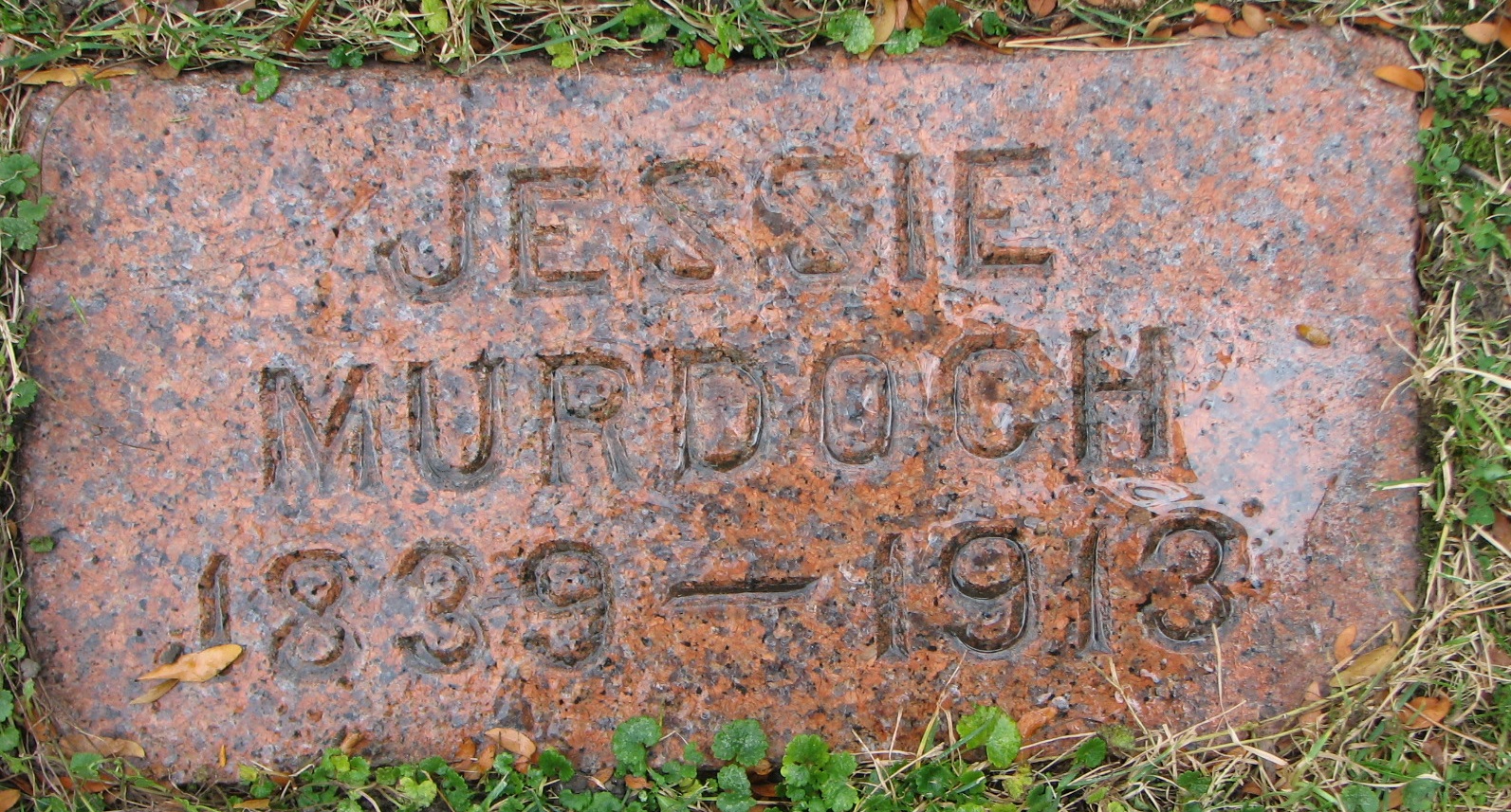 Jessie Murdoch Harvey 1839-1913
