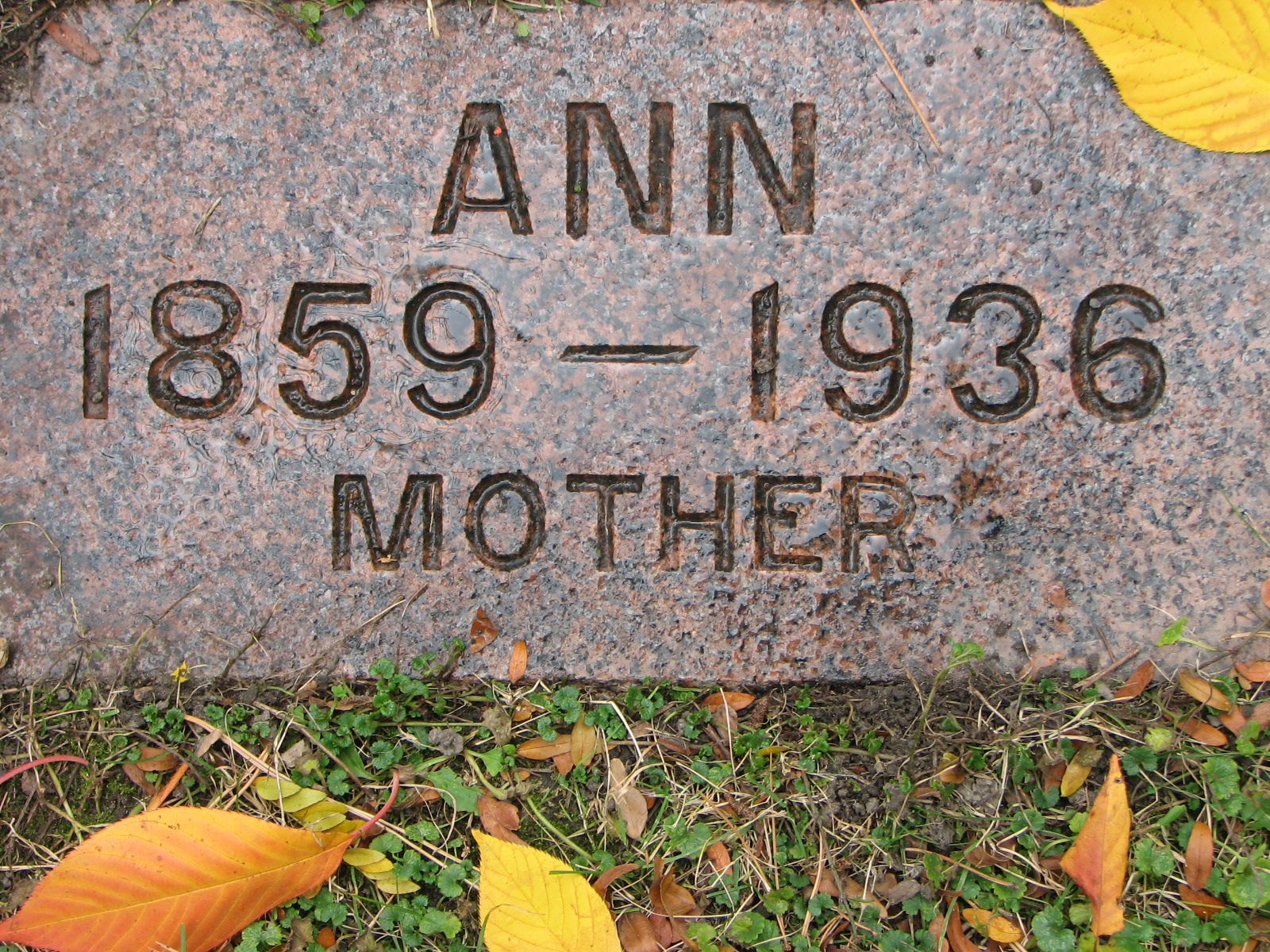 Ann HARVEY 1859-1936