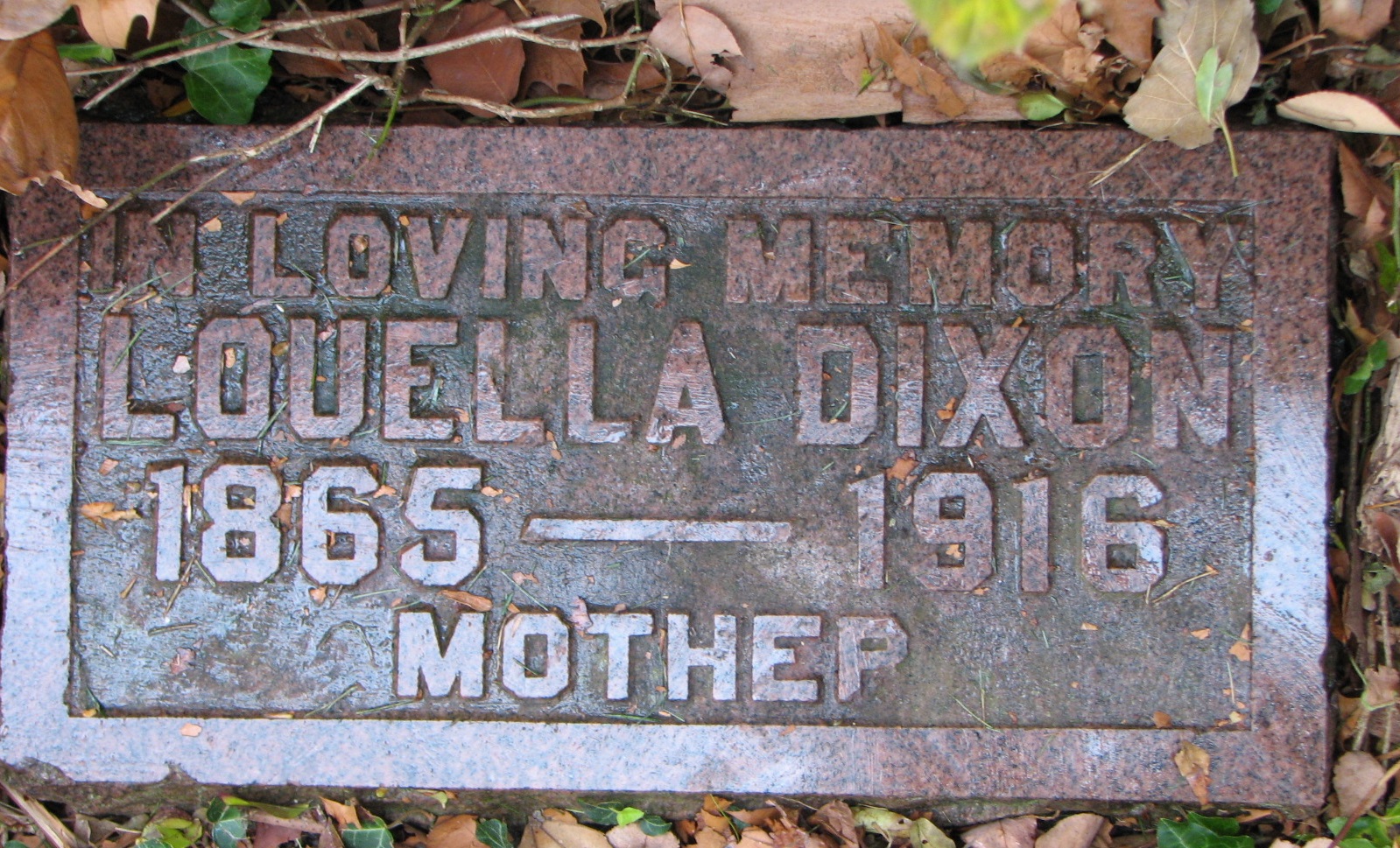 Louella Dixon 1865-1916 Lulu