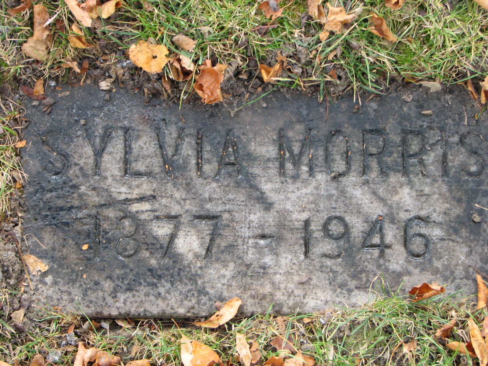 Sylvia Morris 1877-1946