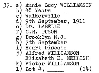 Annie Lucy Williamson 1863-1911 Lot 4