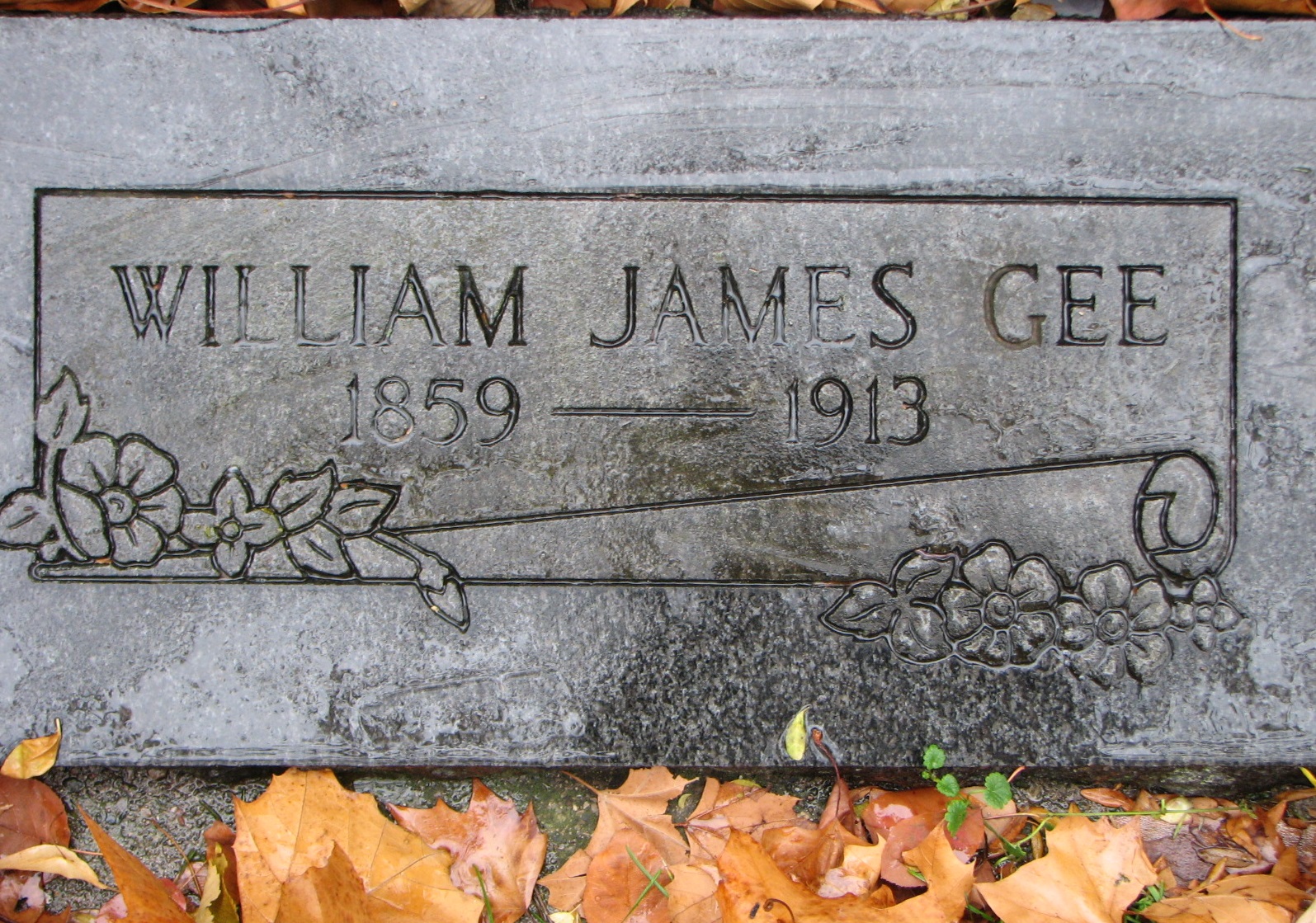 William James GEE 1859-1913 Sect E Row 6