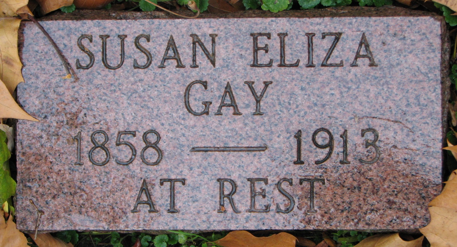 Susan Eliza GAY 1858-1913 Sect E Row 6