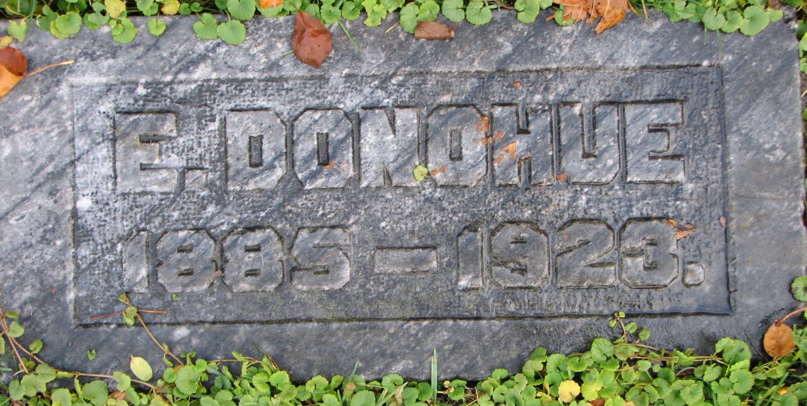 E Donohue 1885-1923 Edward Sect 3 Row 4