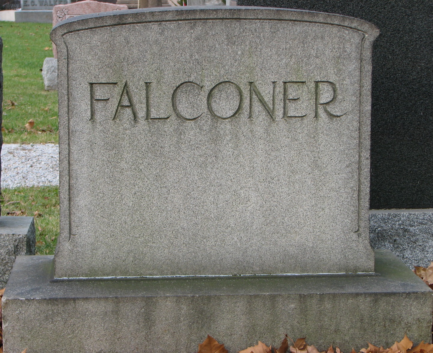 Falconer Sect E Row 1