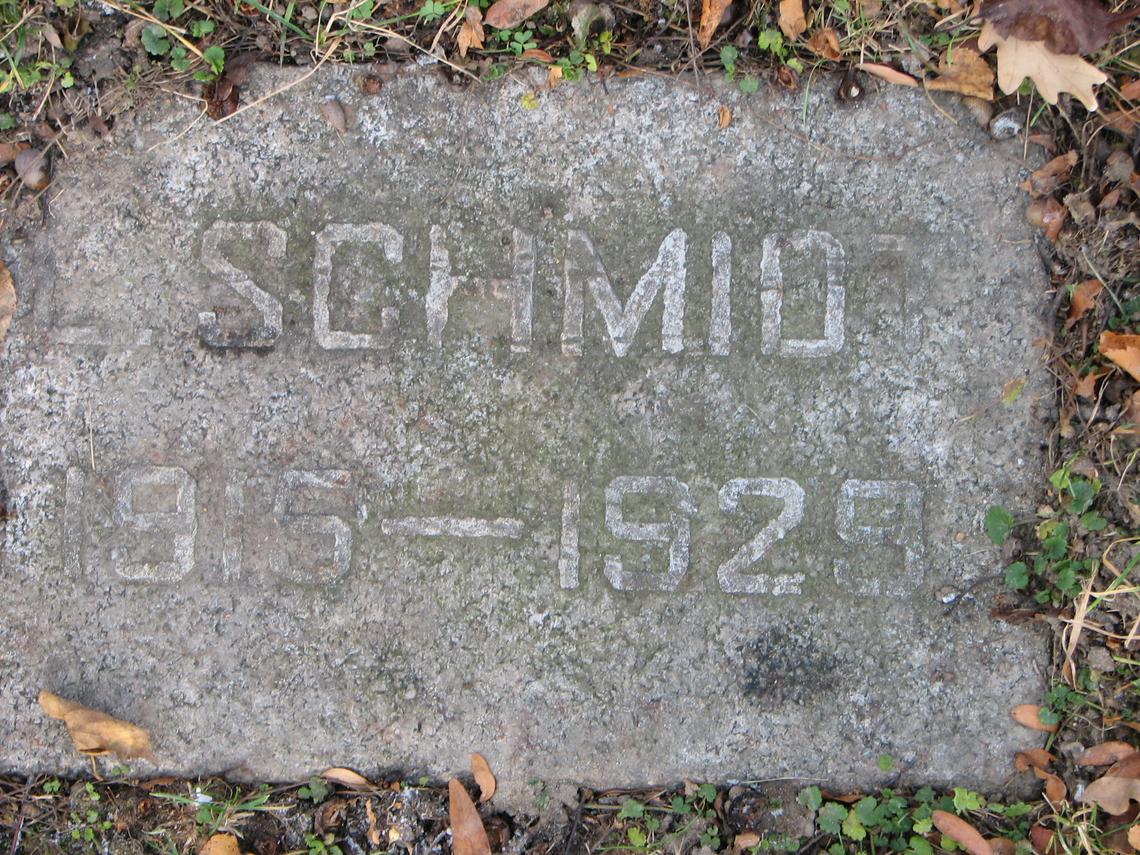 Lawrence Edgar Schmid 1915-1929 (drowning) Sect D row 6